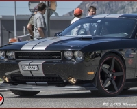 TSR Watermark - 0639